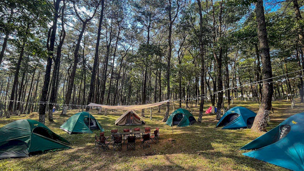 Camping at Ba Vi Pine Forest is an ideal choice for many tourists 